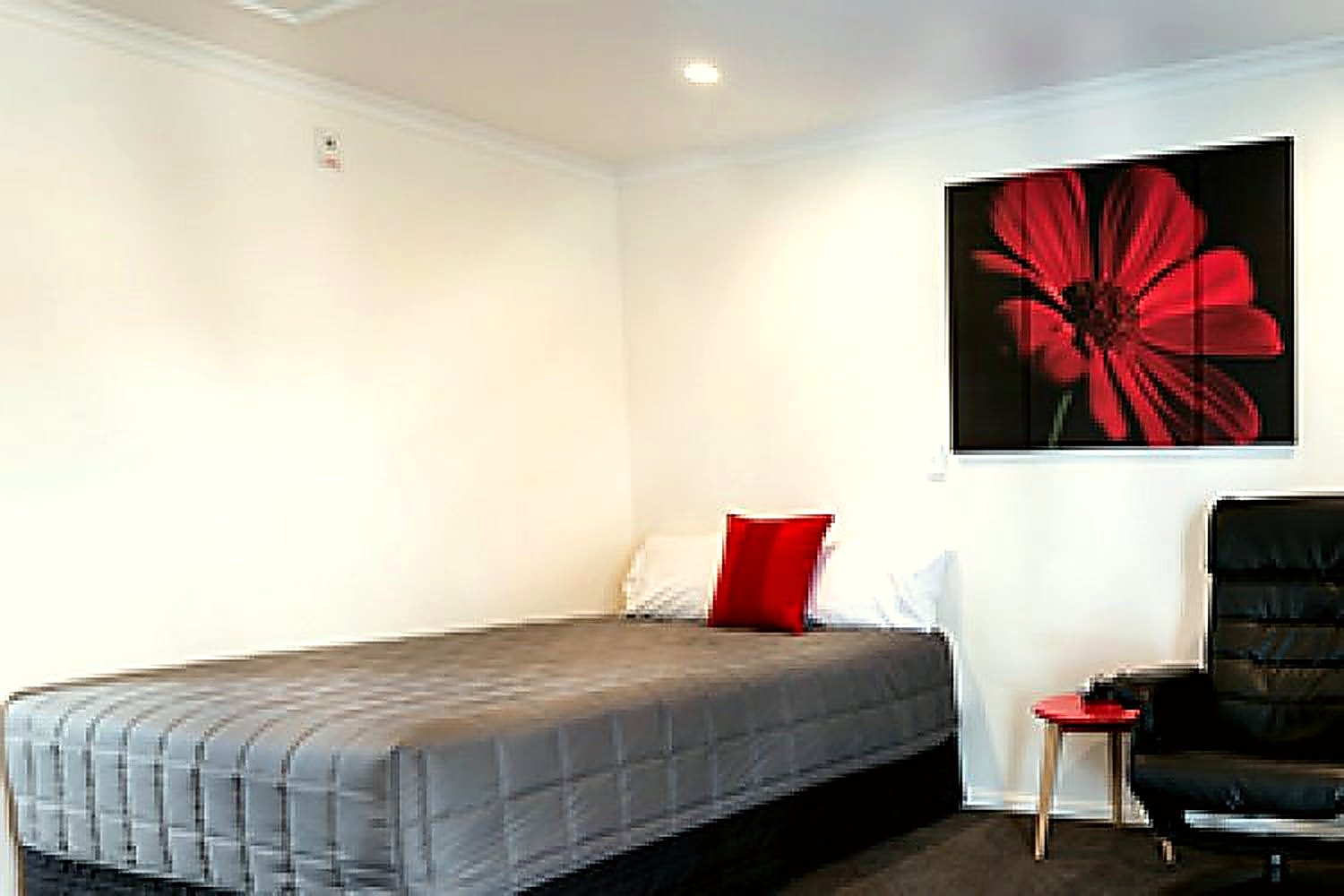 A decorated studio with a bed and the pōhutukawa artwork