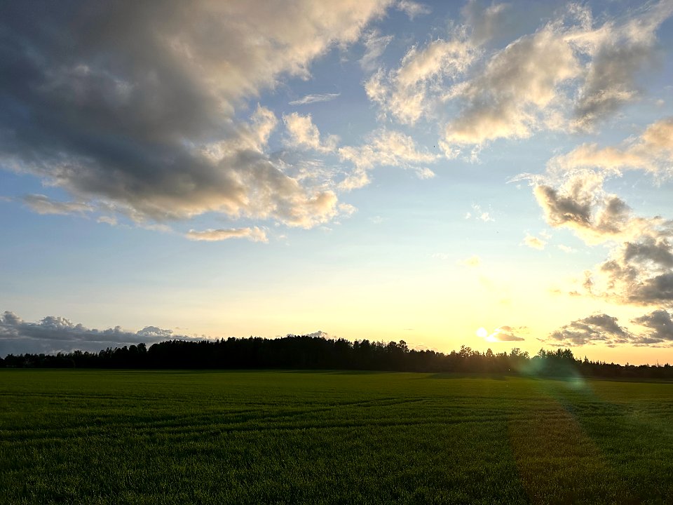 Green farmland under a wide evening sky